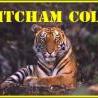 Mitcham Black Logo