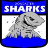 Doncaster Logo