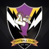 Norwood Purple Logo