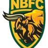 North Brunswick Logo