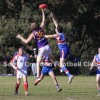 2012 Round 11 - Vs Vermont