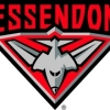 Essendon  Logo