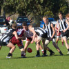 Under 16 Interleague 2013