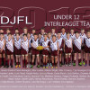 2013 Interleague teams