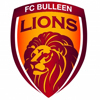 FC Bulleen Lions