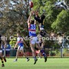 2014 Round 2 - Vs Balwyn (Reserves)