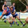 2014 Round 7 - Vs East Ringwood (Seniors)