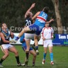 2014 Round 10 - Vs Norwood (Seniors)