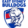 East Sydney Hounds U12 Logo