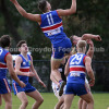 2015 Round 13 - Vs Balwyn (U19's)