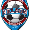 Nelson Logo