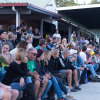 Moreton Bay Supporters (Albert Perez)