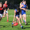 2016 Round 13 - Vs Montrose (U19's)