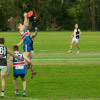 2016 Round 16 Vs North Ringwood (Seniors)