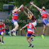 Practice Match 3 2017 - Vs Lower Plenty (Seniors)