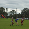 2017 Round 3 - Vs North Ringwood (Reserves)