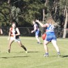 2017 Round 11 - Vs North Ringwood (U19s)