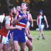 2017 Round 11 - Vs North Ringwood (Seniors)