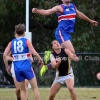 2017 Round 15 - Vs Balwyn (Seniors)