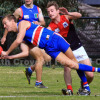 2017 Round 18 - Vs Montrose (Seniors)