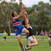 2018 Round 5 - Vs Norwood (Seniors)