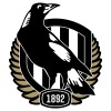 Collingwood Logo