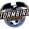 Stormbirds SC Logo