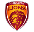 FC Bulleen Lions 